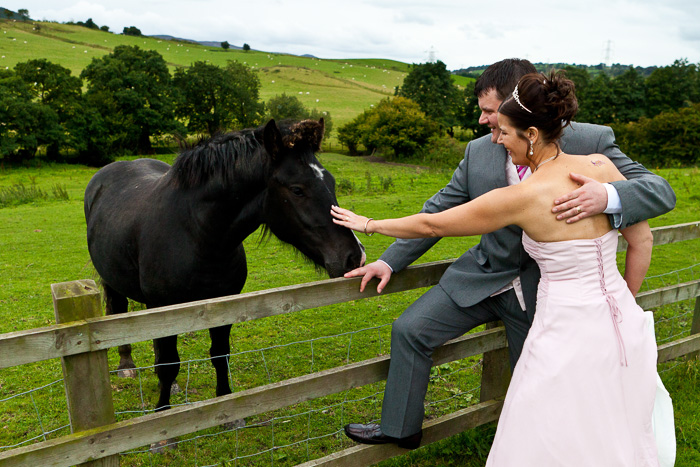 Bride and groom feeding horse